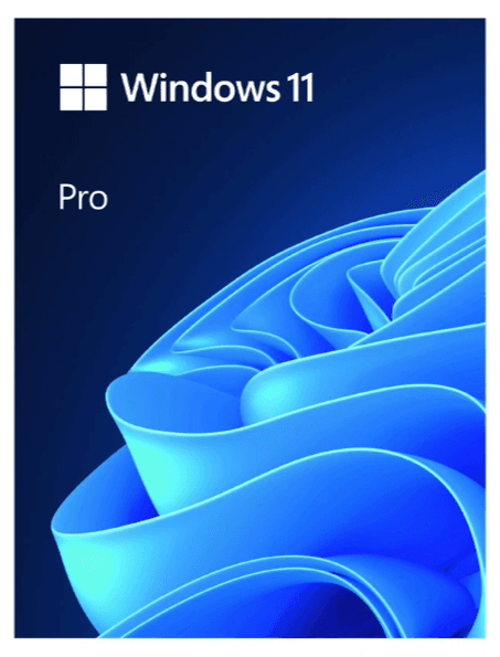 47288_win_11_pro__pa