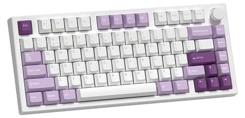 50520_fl_esports_gp75cpm_taro_purple_a5