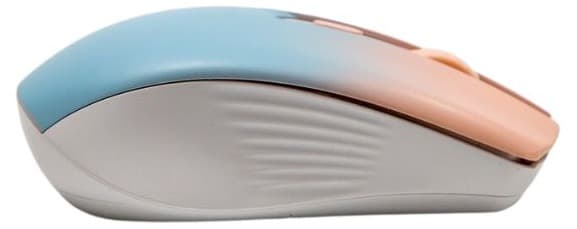 54495_5