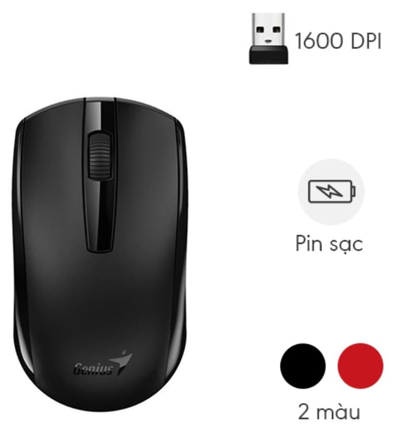 Chuột không dây Genius ECO 8100
