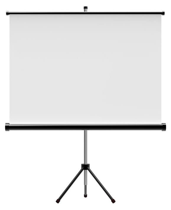 Màn chiếu chân Dalite P70TS