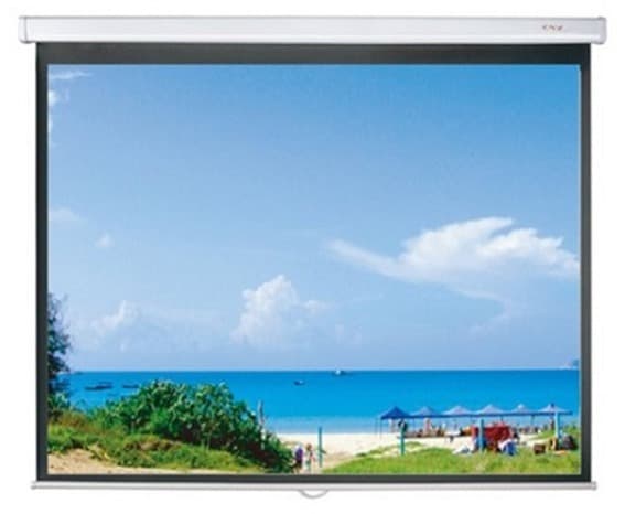 Màn chiếu treo Dalite PL170WS
