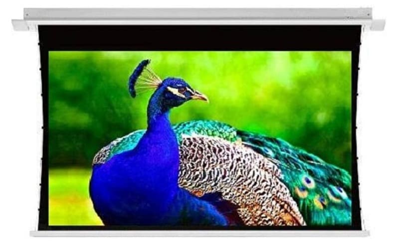 Màn chiếu điện Dalite Tab-Tension T150S