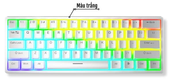 Bàn phím cơ Aula F3261 Trắng Blue Switch